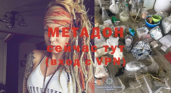 шишки Новодвинск