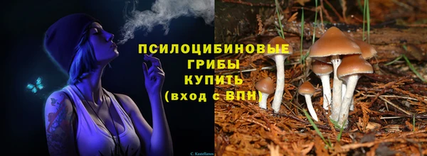 2c-b Алексин