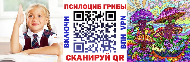 Псилоцибиновые грибы мицелий Яхрома